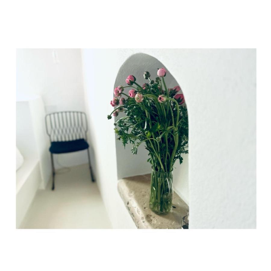 Hydria Guest House Art Gallery アックアヴィーヴァ・デッレ・フォンティ エクステリア 写真