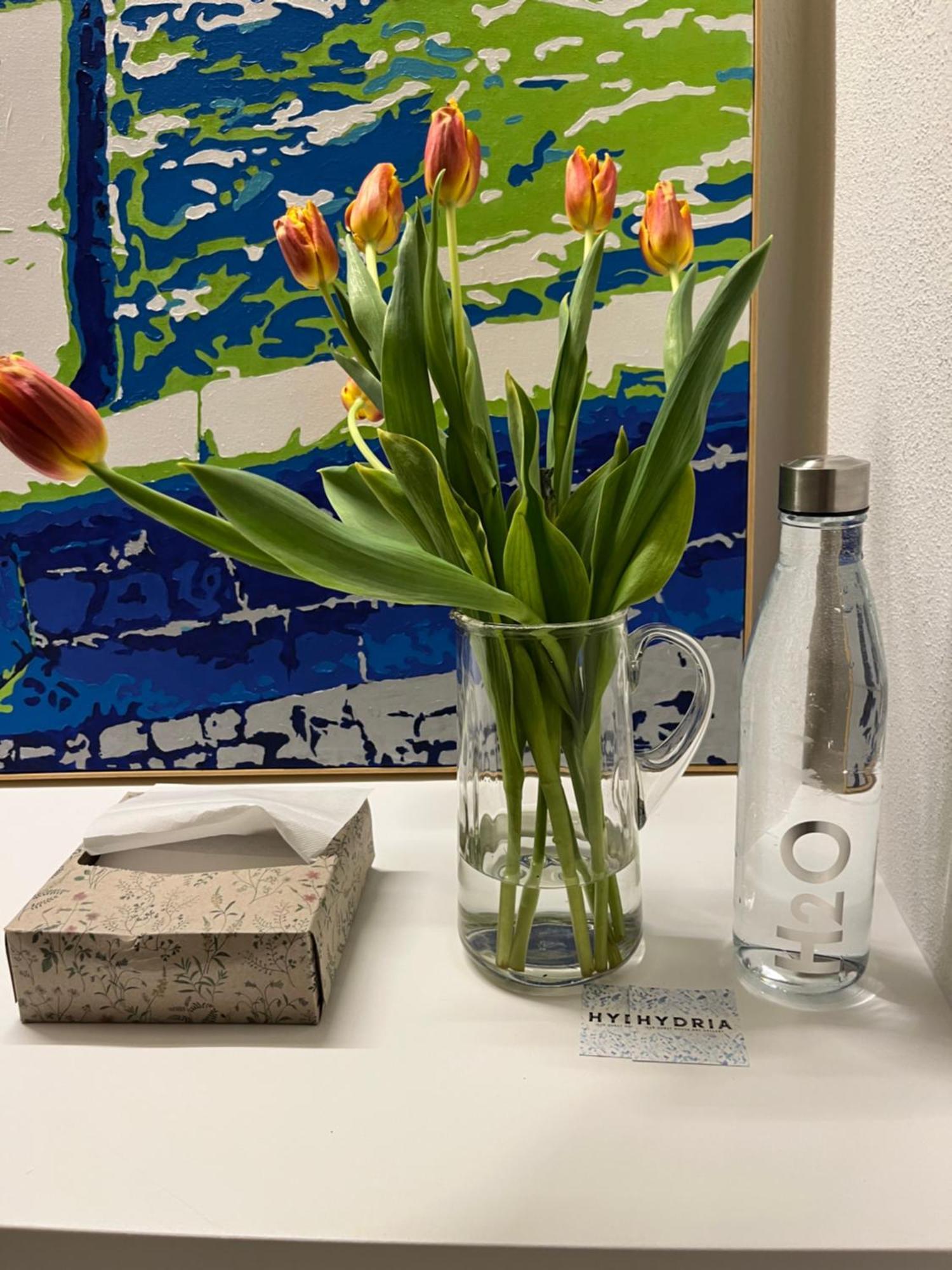 Hydria Guest House Art Gallery アックアヴィーヴァ・デッレ・フォンティ エクステリア 写真