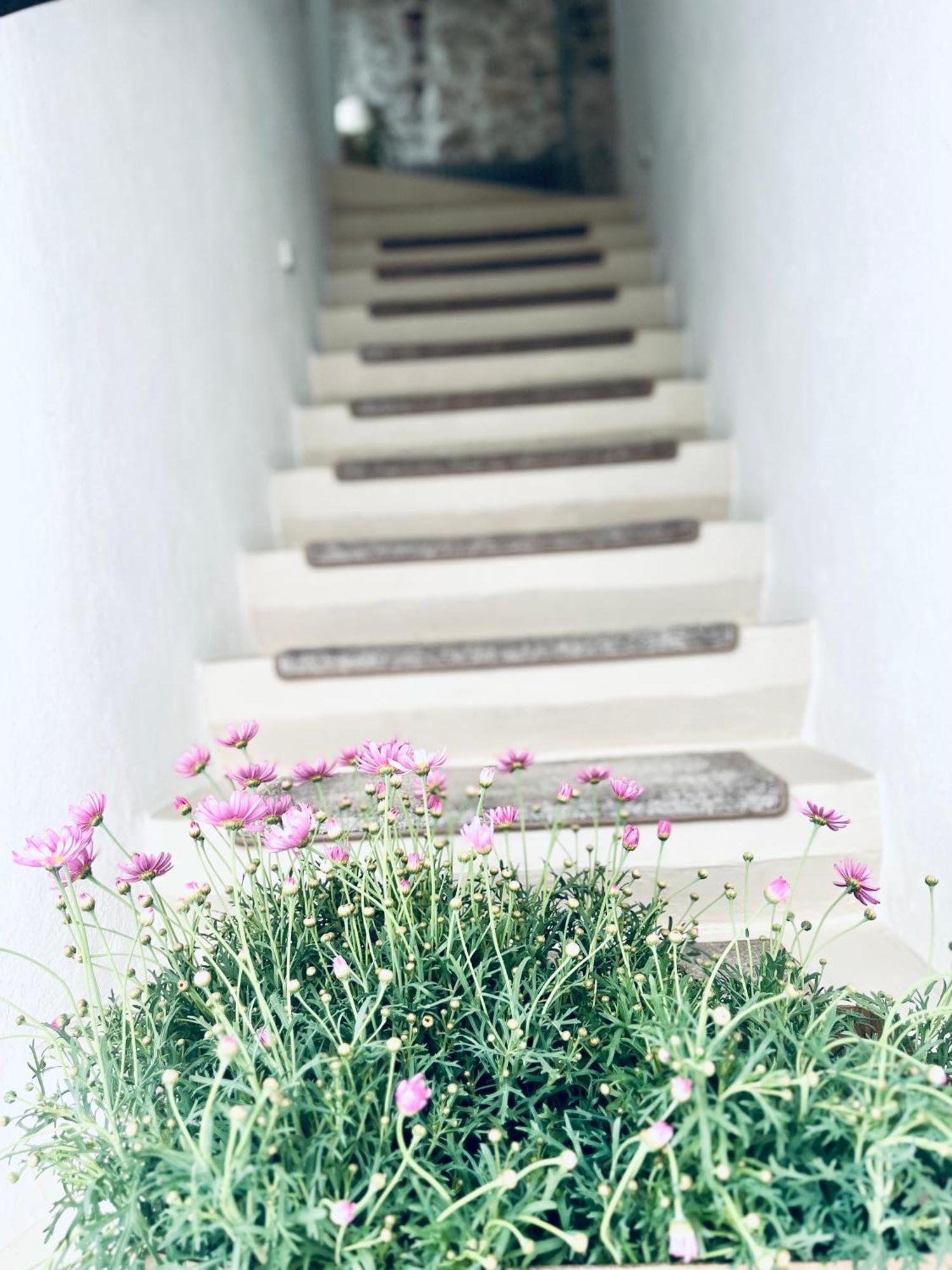 Hydria Guest House Art Gallery アックアヴィーヴァ・デッレ・フォンティ エクステリア 写真
